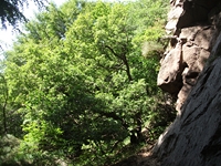 qua Rocca10062012 119